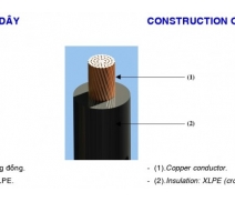 Dây điện lực hạ thế không vỏ, ruột đồng, cách điện XLPE – CX-0,6/1 kV